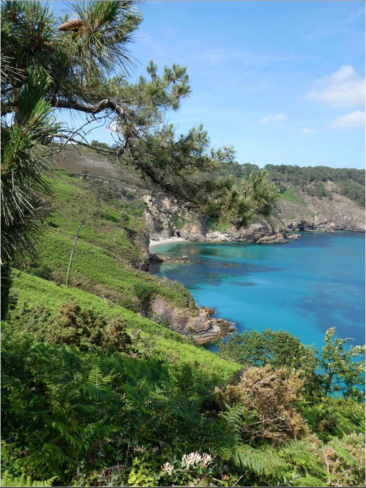 Maison Residence Odalys A Morgat En Bretagne Sur La Presqu'Ile De Crozon Situee A 800 M De La Mer Piscine Chauffee Travaux Piscine Debut Du 1 Er Juin Au 15 Juin 2025 מראה חיצוני תמונה